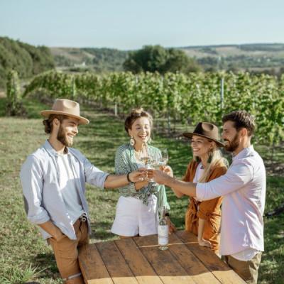 Plan de Marketing Digital para ACEVIN y Rutas del Vino de España