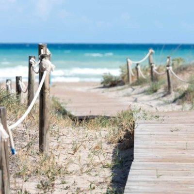 Plan Estratégico de Turismo y DTI Canet d'en Berenguer